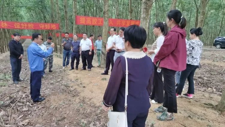 全国割胶冠军张健给各单位学员做标准化胶园建设及割胶技术的经验介绍。.jpg